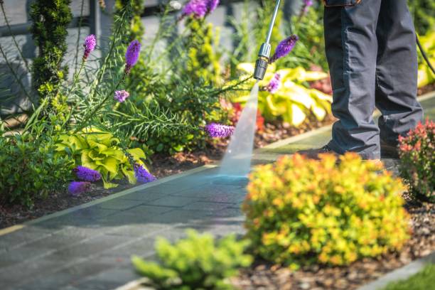 Best Restaurant Pressure Washing  in Zephyrhills West, FL