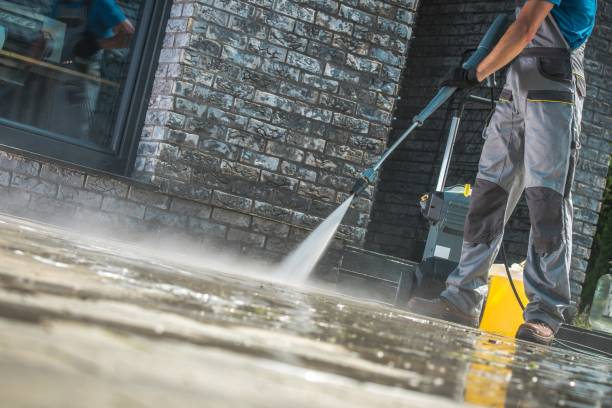 Best Roof Washing  in Zephyrhills West, FL