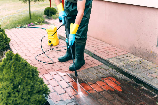 Best Driveway Pressure Washing  in Zephyrhills West, FL