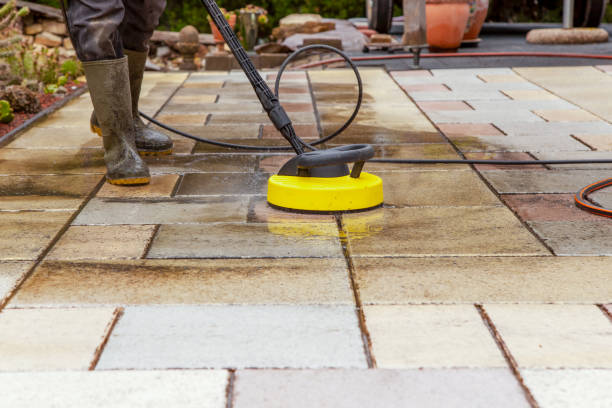 Best Gutter Cleaning  in Zephyrhills West, FL