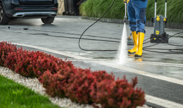Best Fence Cleaning  in Zephyrhills West, FL